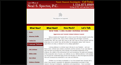Desktop Screenshot of nealspectorpc.com
