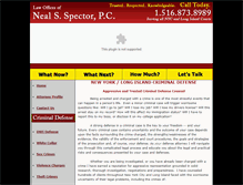 Tablet Screenshot of nealspectorpc.com